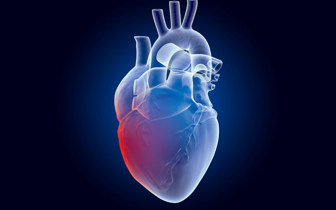 Getting to the heart of the matter—What you maybe don’t know about hormones and heart health.